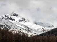 Rätische Bahn - Bernina Express